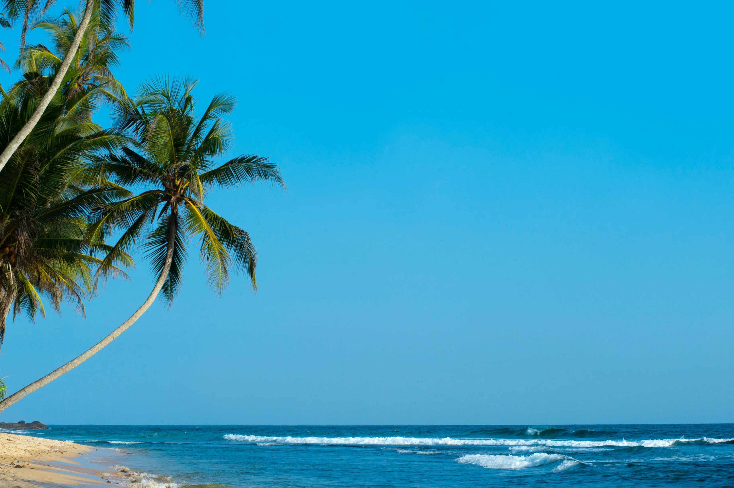 Read more about the article Sri Lanka- Pearl of the Indian Ocean,